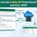 🌐 How to Call a Web API From Excel VBA and Use JSON
